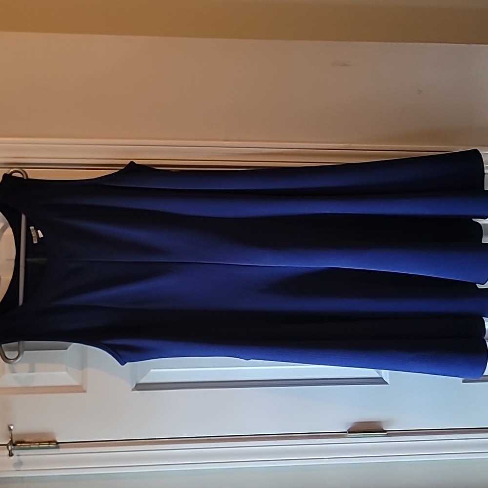 😍 Preloved womans blue dress by Haani size 3XP